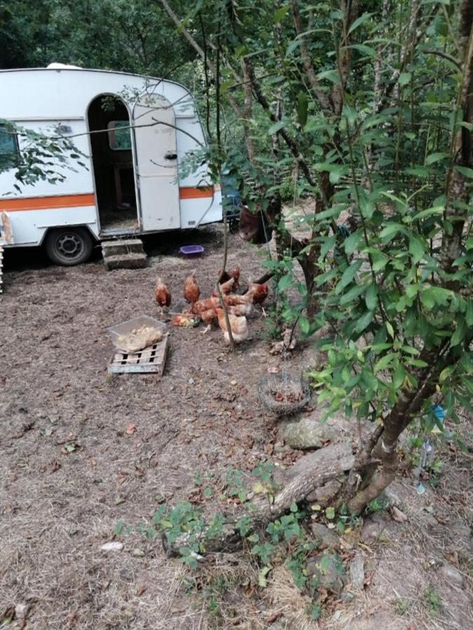 Les Roches Chambre D'Hotes Servant Eksteriør billede